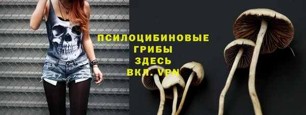 Альфа ПВП Алексин