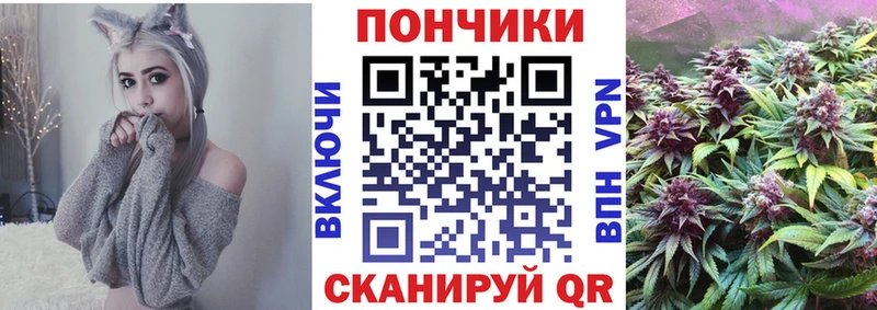 Бошки Шишки индика  Стародуб 